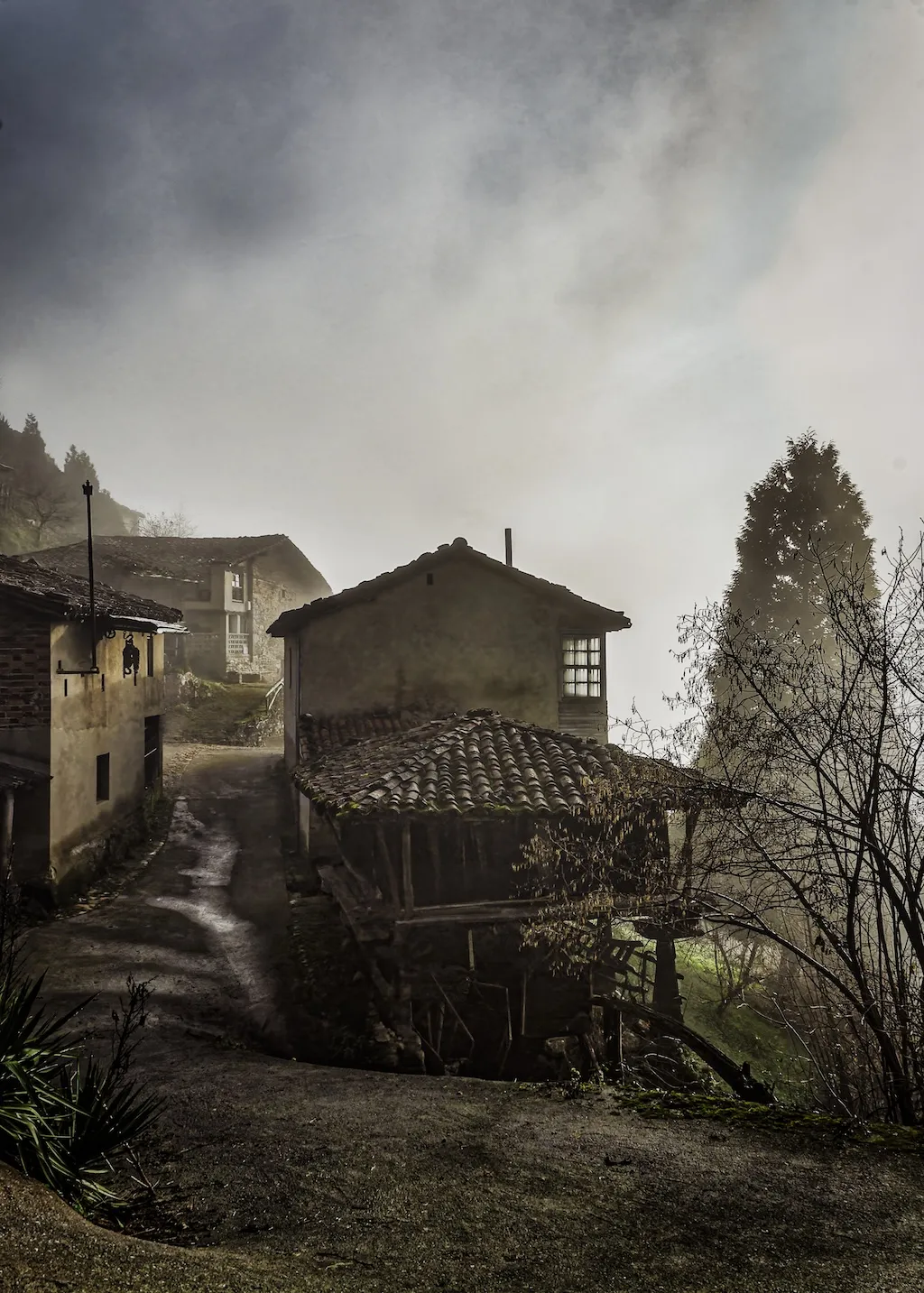 Fotografía finalista del IX Concurso de Fotografía Serondaya: Ambiente rural — Cesáreo ML Blanco