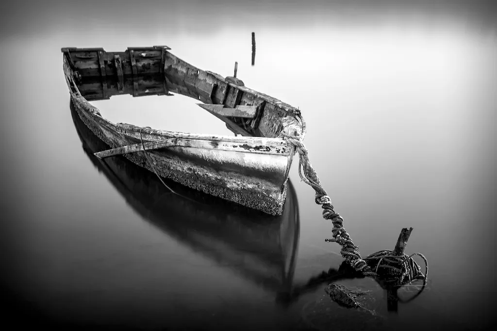Fotografía ganadora del tema libre, «Delta del Ebro», de David Piqueras Aparicio