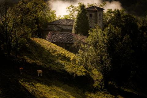 PRIMER PREMIO  Antonio Guerra Rodríguez, de Ujo (Mieres) con “A la sombra de San Cosme y San Damián”