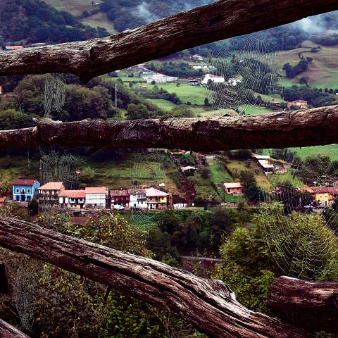 SEGUNDO PREMIO  Julio Santa Cruz Siminian, con la obra “El telar”